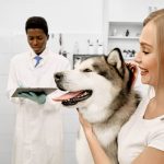 dbanie o zdrowie psa