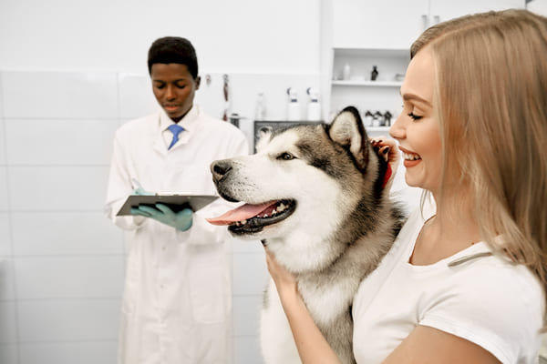 dbanie o zdrowie psa
